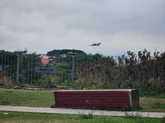 -福田红树林生态公园