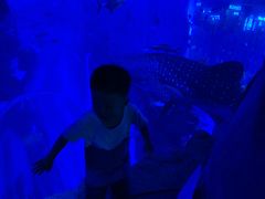 -成都浩海立方海洋公园