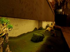 -淀里船宴(裕华东路店)
