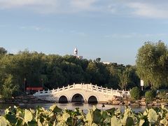 -长春市南湖公园