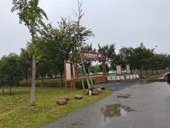 -南湖湿地公园