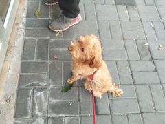 -味多美蛋糕(洋桥店)