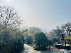 -西院1号(龙井店)