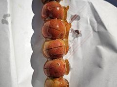 -糖葫芦王保定名吃(古莲花池店)