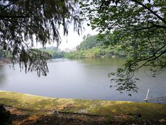 -火炉山森林公园