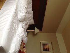 巴黎半岛酒店-汕尾巴黎半岛酒店