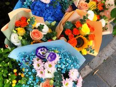-双季花艺园艺市场(浦东店)
