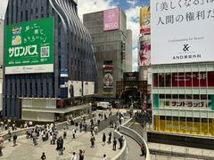 -蟹道乐(道顿堀本店)