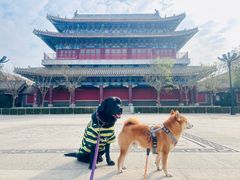 -天津妈祖文化园