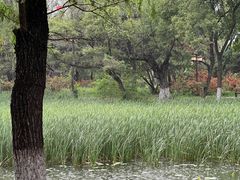 -北陵公园