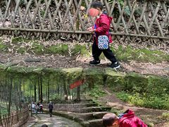 -杭州黄龙洞
