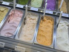 -鹤茶野所(上海首店)