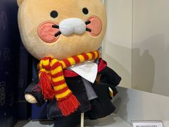 -KAKAO FRIENDS(弘大店)