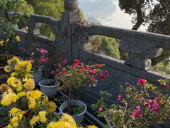 -乐山大佛风景名胜区乌尤寺南门-售票点