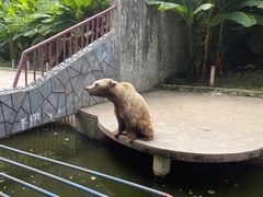 -贵州森林野生动物园