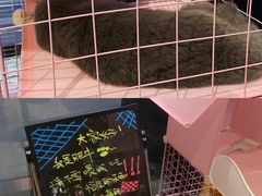 -火星工厂·桌游·团建聚会·轰趴馆(厦滘店)