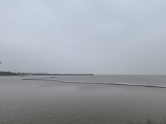 -洪湖湿地生态园