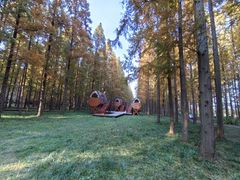 -黄海国家森林公园