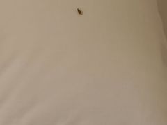 -7天酒店(上海江宁路地铁站玉佛寺店)