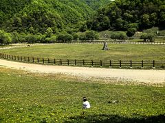 -大水川景区