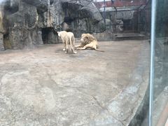 -南昌动物园