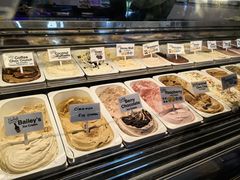 -Dooley's Premium Ice Cream