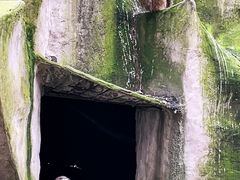 -哈尔滨北方森林动物园