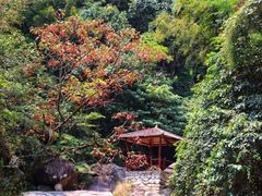 -大鄣山卧龙谷景区