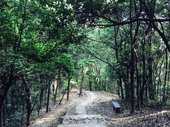 -西湖风景区十里琅珰-五云山