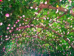 -芜湖方特东方神画