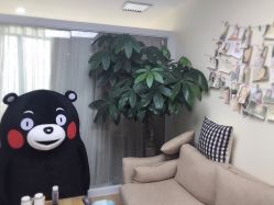 -轻妆Feel·半永久纹眉眼线