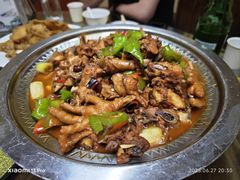 -老家黄墩小错鸡·活海鲜