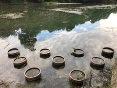 -绩溪龙川景区