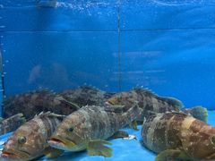 -钱山海鲜大排档