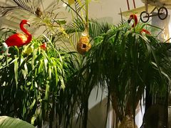 -RGF(巨鹿路店)