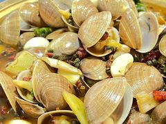 -三盛肥蛤(二环南路店)