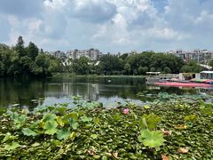 -新江湾城公园