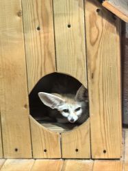 -Zoolung Zoolung动物主题公园(海信广场店)