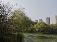 -青枫公园