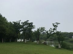 -瑶湖郊野森林公园