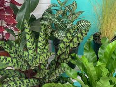 -吾生 My life花坊(复兴西路洋房店)