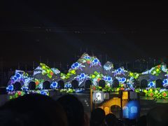 -花博汇(知音花月夜)