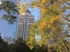 -陆家嘴中心绿地