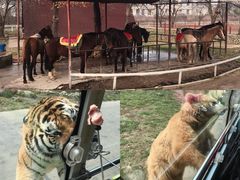 -西安秦岭野生动物园