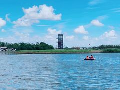 -春花秋色城市公园