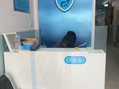-中农大我爱我爱24h动物医院·中医针灸·猫专科·骨科医疗中心(双井店)