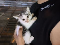 -爱派特动物医院·全科诊疗中心