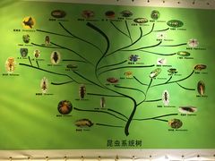 -上海昆虫博物馆