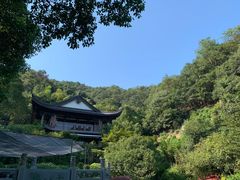 -十八棵（老龙井）御茶园(老龙井店)