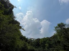 -北京西山国家森林公园